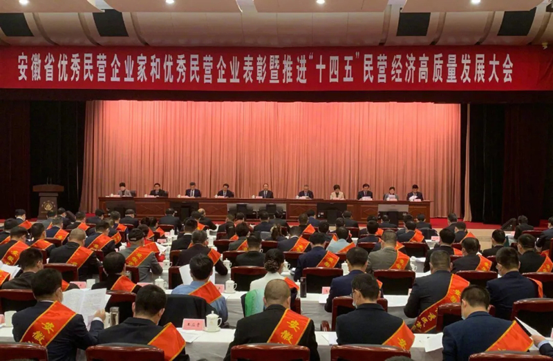 喜讯！yl23455永利官网科技总经理梁燕被授予“安徽省优秀民营企业家”称号